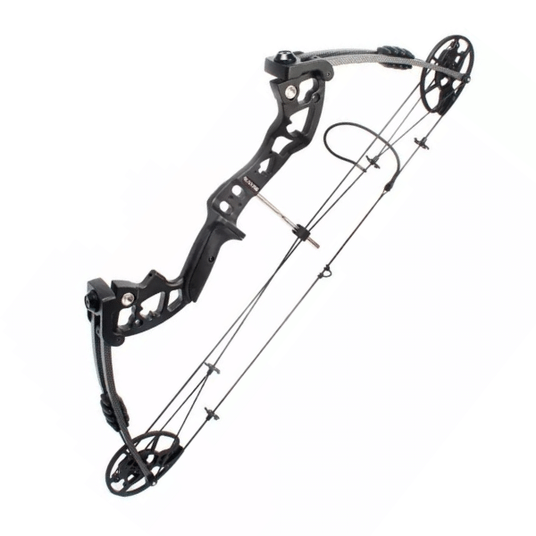 Compound Bow